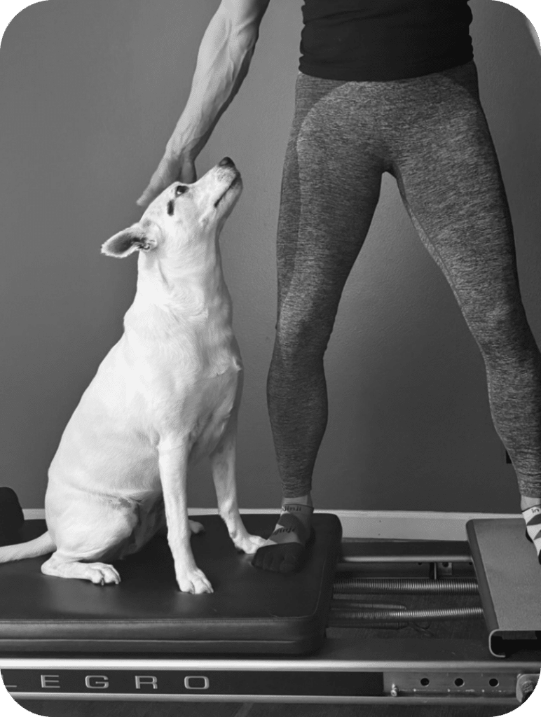 Reformer and Nixie copy@2x